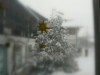 P1010219.JPG